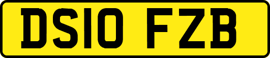 DS10FZB