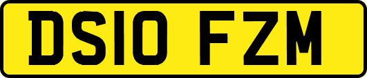 DS10FZM