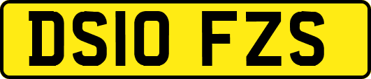 DS10FZS