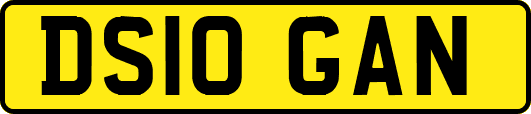 DS10GAN