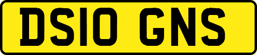 DS10GNS