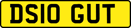 DS10GUT