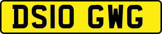 DS10GWG