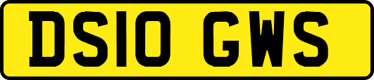 DS10GWS