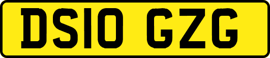 DS10GZG