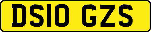 DS10GZS
