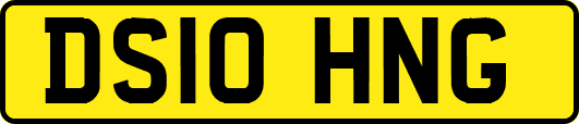 DS10HNG