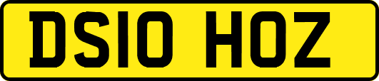 DS10HOZ