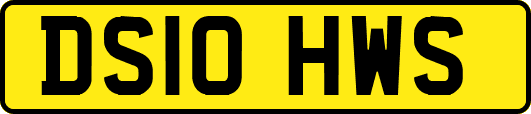 DS10HWS