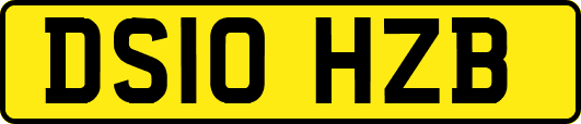 DS10HZB