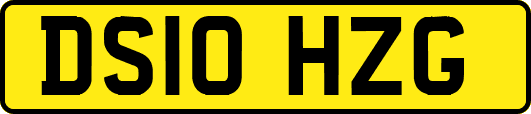 DS10HZG