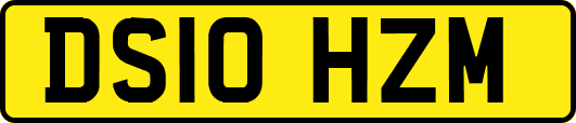DS10HZM