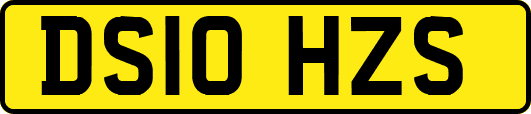DS10HZS