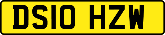 DS10HZW