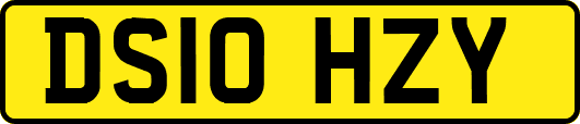 DS10HZY