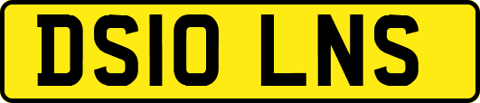 DS10LNS