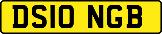 DS10NGB