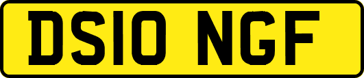 DS10NGF