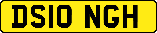 DS10NGH
