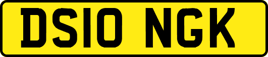 DS10NGK
