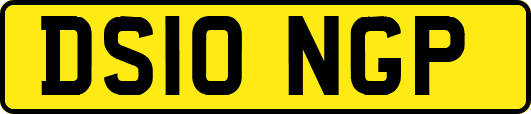 DS10NGP
