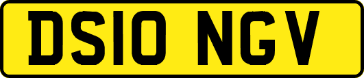 DS10NGV
