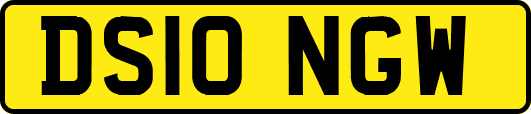 DS10NGW
