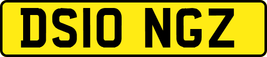 DS10NGZ