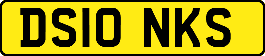 DS10NKS