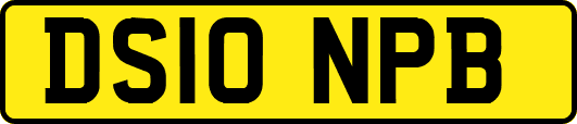 DS10NPB