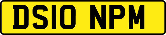 DS10NPM