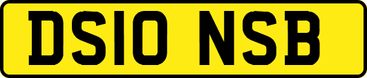 DS10NSB