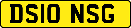 DS10NSG