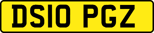 DS10PGZ