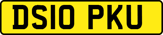 DS10PKU