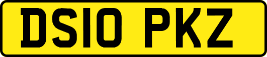 DS10PKZ