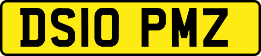 DS10PMZ