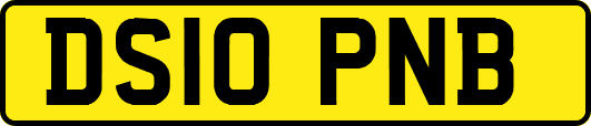 DS10PNB