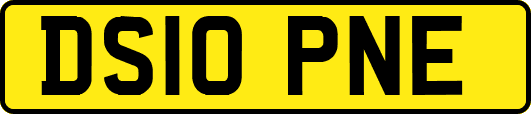 DS10PNE