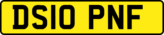DS10PNF
