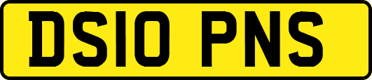 DS10PNS