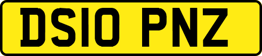 DS10PNZ