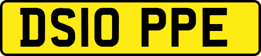 DS10PPE