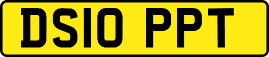 DS10PPT