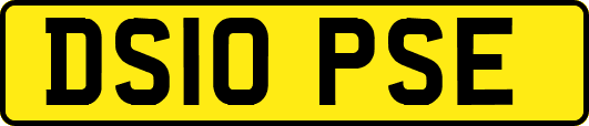 DS10PSE