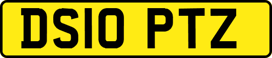 DS10PTZ