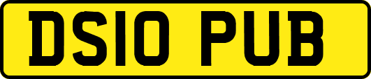 DS10PUB