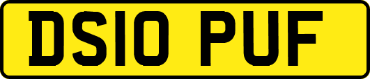 DS10PUF