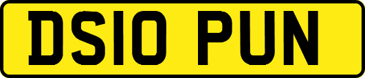 DS10PUN