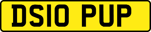 DS10PUP